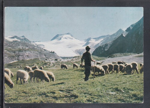 Cartolina alta val formazza - alta,